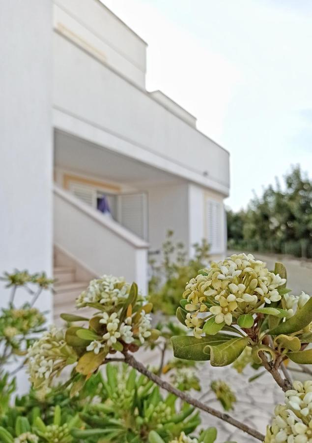 Residence Bellevue Santa Maria di Leuca Bagian luar foto